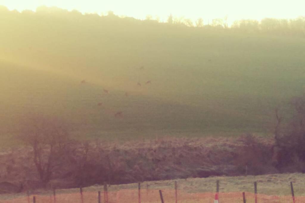 The Cottage - Hot Tub - Nr Glasgow - Self Check-In كوتبريدج المظهر الخارجي الصورة